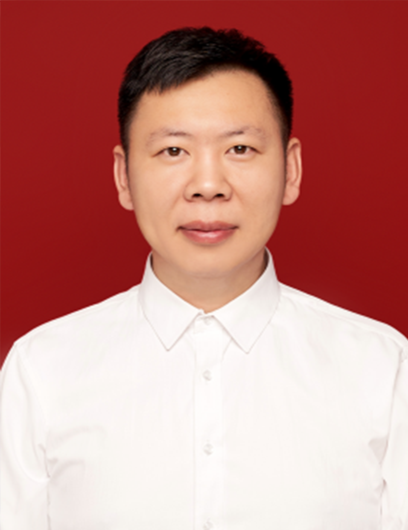 副会长：王小龙