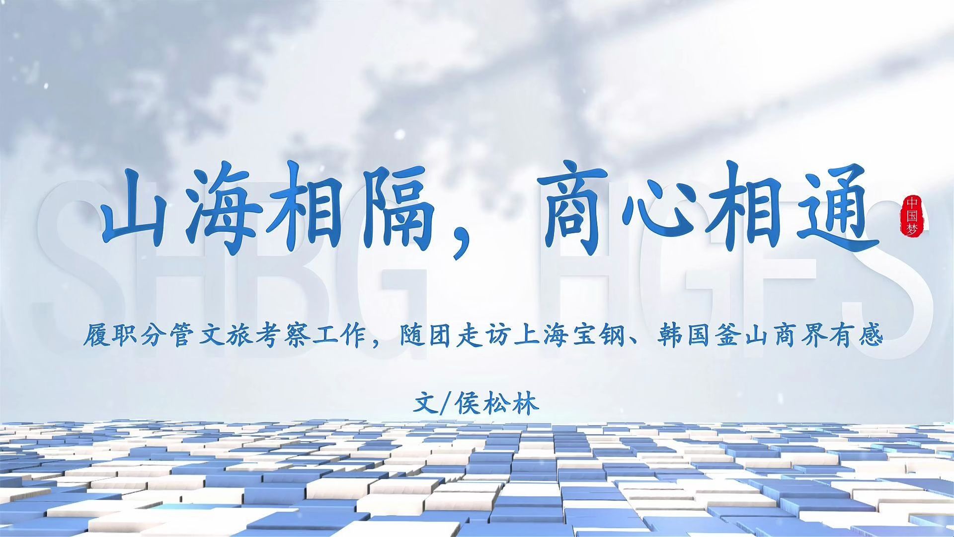 山海相隔，商心相通 履职分管文旅考察工作，随团走访上海宝钢、韩国釜山商界有感